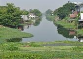 Discover Majuli Island