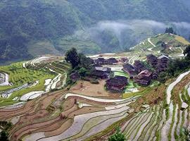 Jiabang Rice terraces