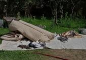 Try your hand at yurt making