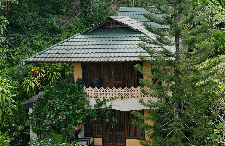 Tangkoko Sanctuary