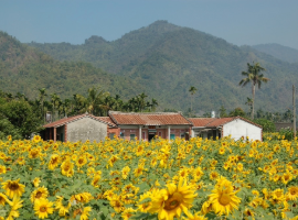 meinong taiwan