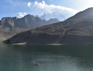 Passu